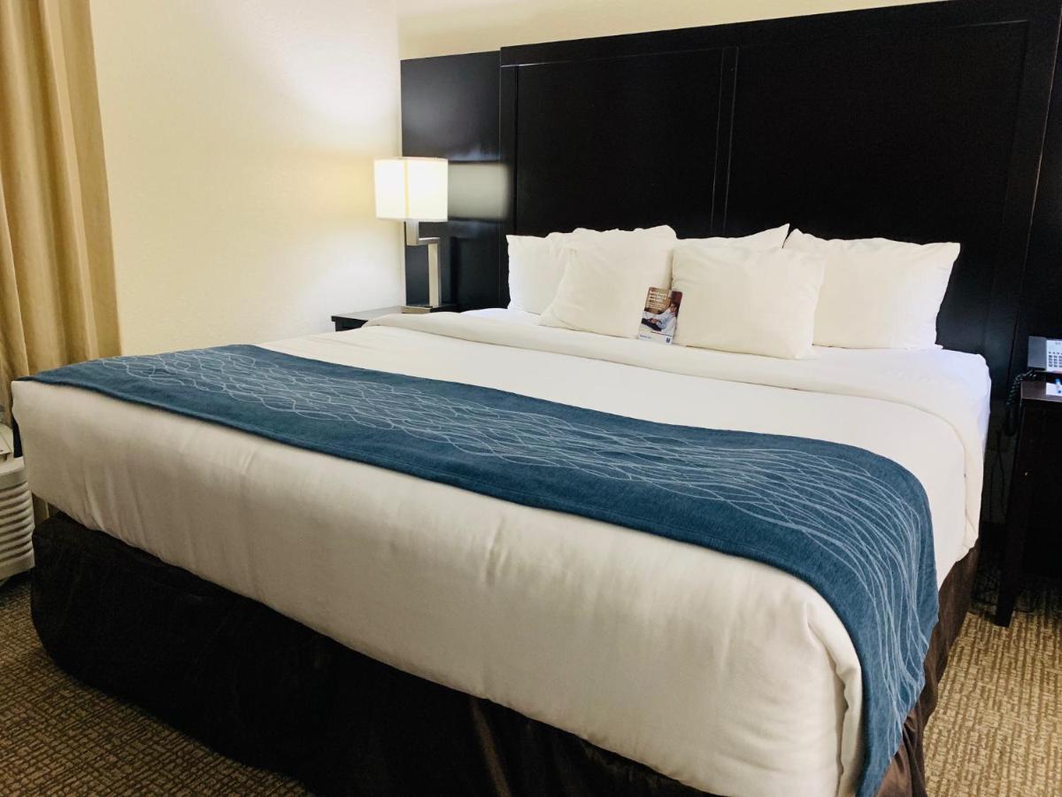 Comfort Inn & Suites Atlanta-Smyrna מראה חיצוני תמונה