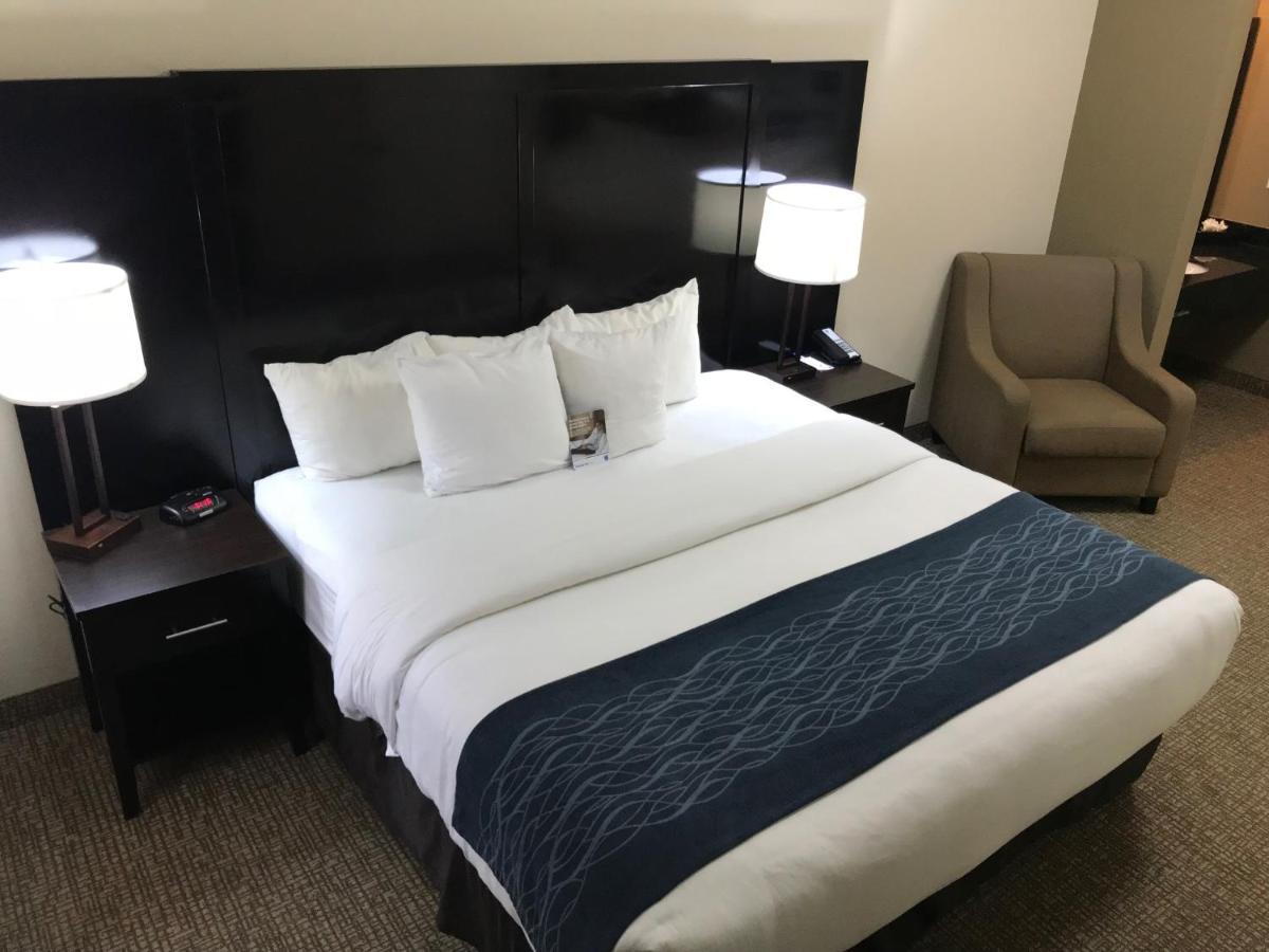 Comfort Inn & Suites Atlanta-Smyrna מראה חיצוני תמונה